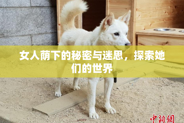 女人荫下的秘密与迷思，探索她们的世界
