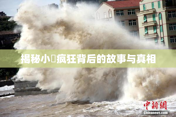 揭秘小泬疯狂背后的故事与真相