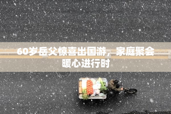 60岁岳父惊喜出国游，家庭聚会暖心进行时
