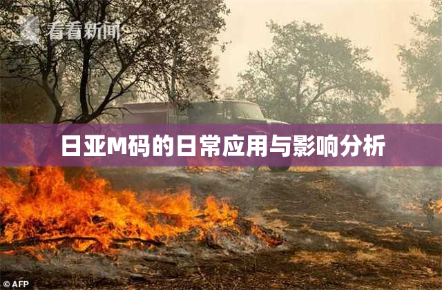 日亚M码的日常应用与影响分析