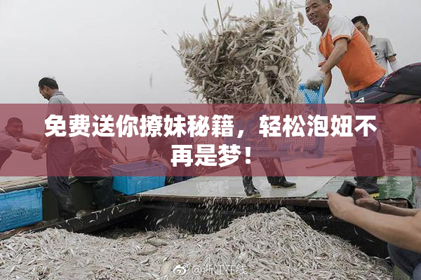 免费送你撩妹秘籍，轻松泡妞不再是梦！