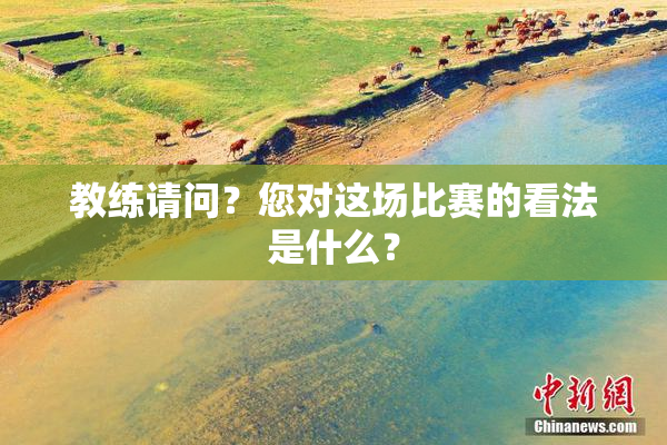 教练请问？您对这场比赛的看法是什么？