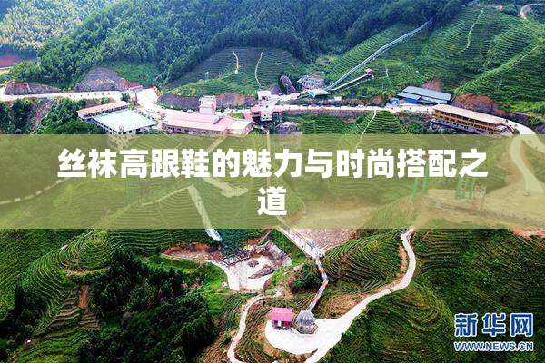 丝袜高跟鞋的魅力与时尚搭配之道