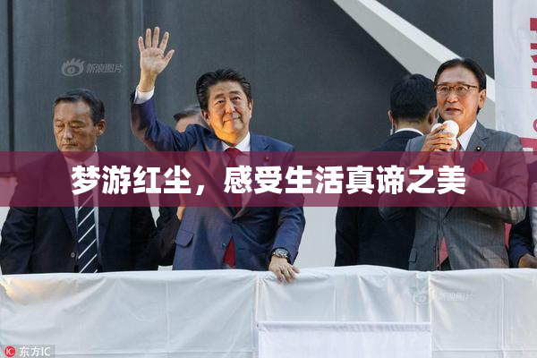 梦游红尘，感受生活真谛之美