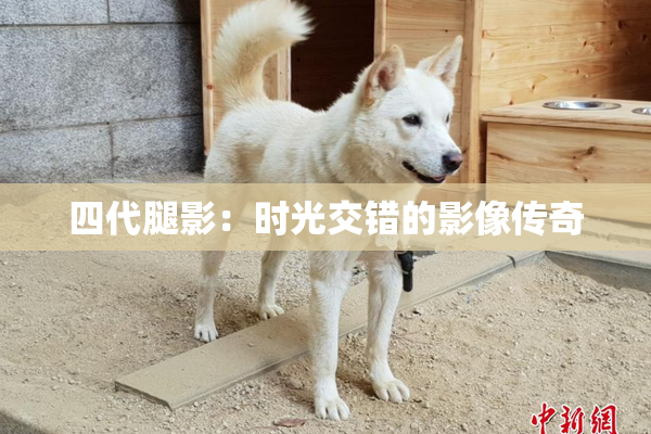 四代腿影：时光交错的影像传奇