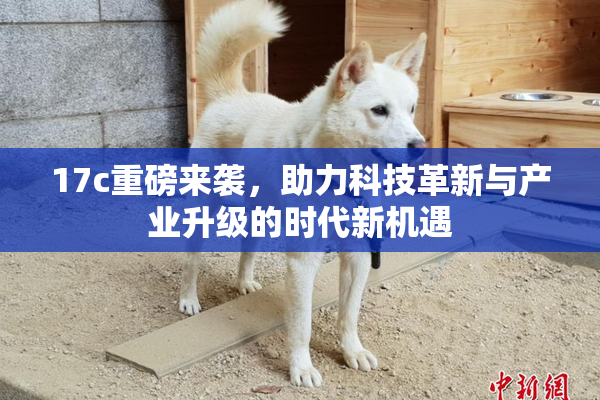 17c重磅来袭，助力科技革新与产业升级的时代新机遇