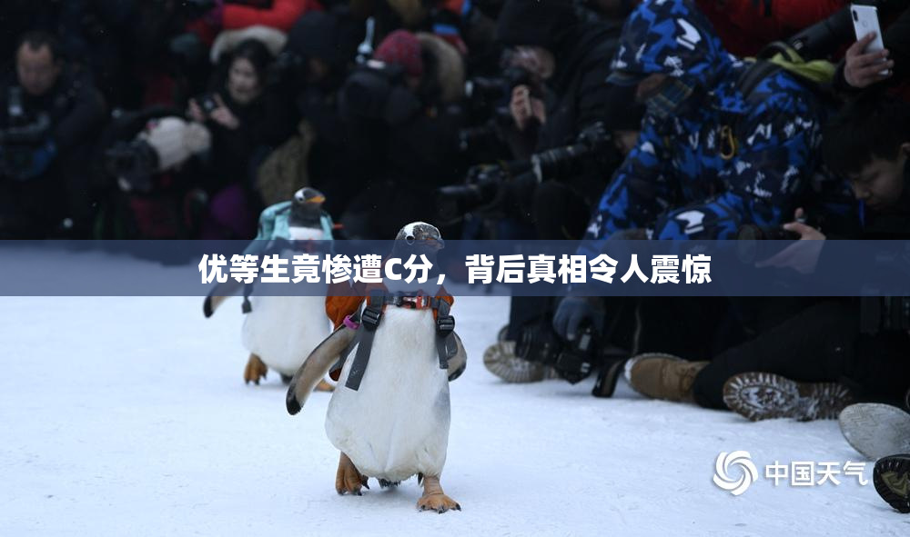优等生竟惨遭C分，背后真相令人震惊