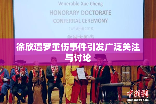 徐欣遭罗重伤事件引发广泛关注与讨论