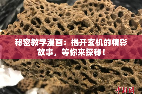 秘密教学漫画：揭开玄机的精彩故事，等你来探秘！