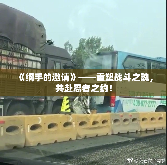 《纲手的邀请》——重塑战斗之魂，共赴忍者之约！