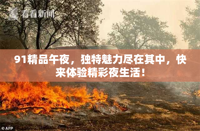 91精品午夜，独特魅力尽在其中，快来体验精彩夜生活！
