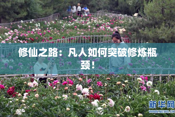 修仙之路：凡人如何突破修炼瓶颈！