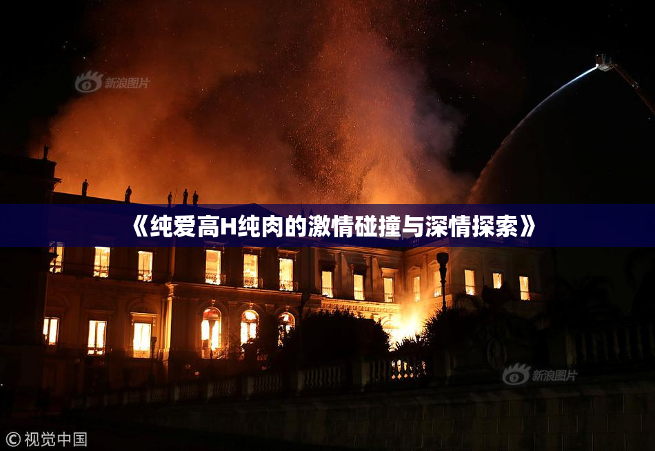 《纯爱高H纯肉的激情碰撞与深情探索》
