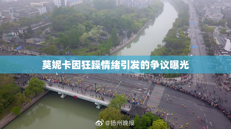 莫妮卡因狂躁情绪引发的争议曝光