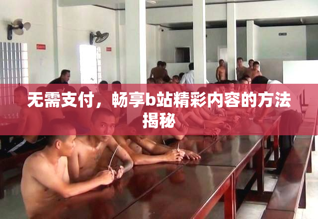 无需支付，畅享b站精彩内容的方法揭秘