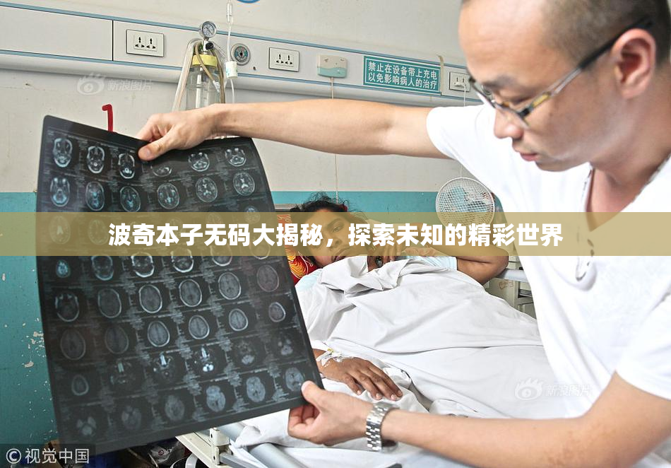 波奇本子无码大揭秘，探索未知的精彩世界