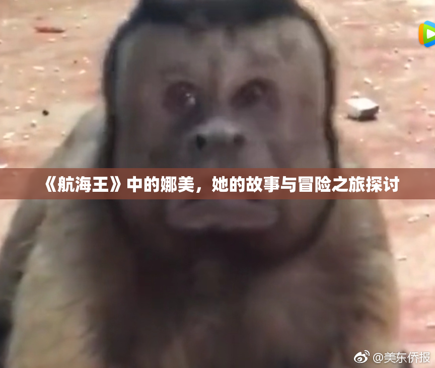 《航海王》中的娜美，她的故事与冒险之旅探讨