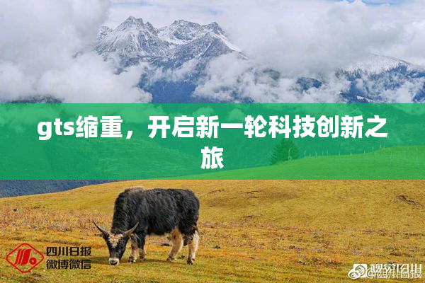 gts缩重，开启新一轮科技创新之旅