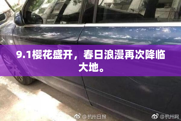 9.1樱花盛开，春日浪漫再次降临大地。