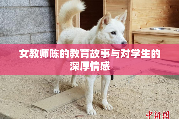 女教师陈的教育故事与对学生的深厚情感