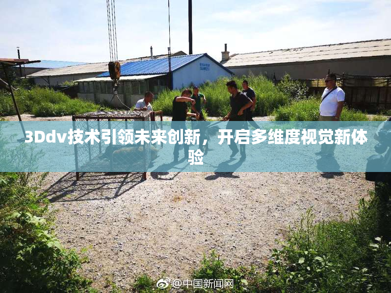 3Ddv技术引领未来创新，开启多维度视觉新体验