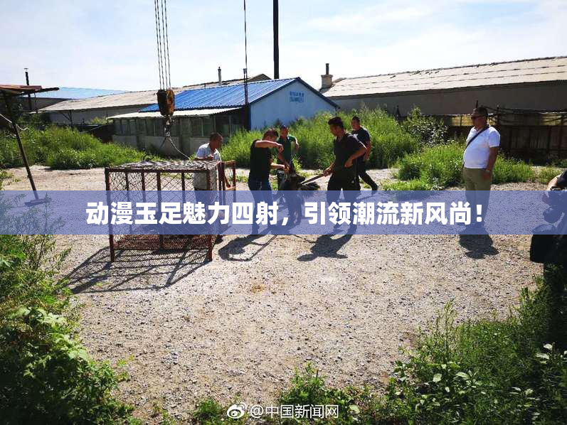 动漫玉足魅力四射，引领潮流新风尚！