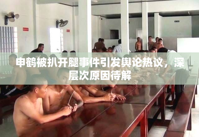 申鹤被扒开腿事件引发舆论热议，深层次原因待解