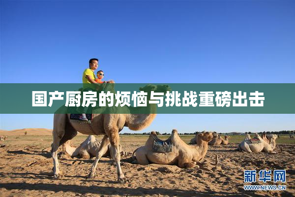国产厨房的烦恼与挑战重磅出击