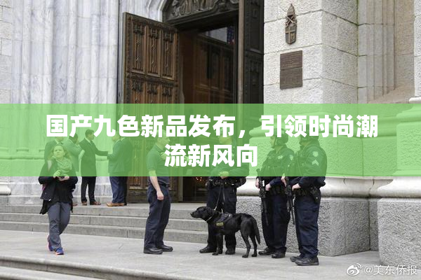 国产九色新品发布，引领时尚潮流新风向