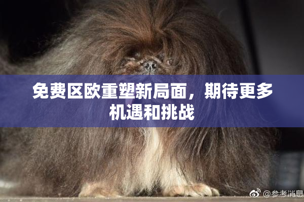 免费区欧重塑新局面，期待更多机遇和挑战