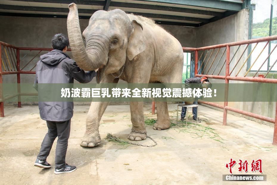 奶波霸巨乳带来全新视觉震撼体验！