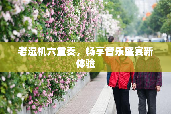 老湿机六重奏，畅享音乐盛宴新体验