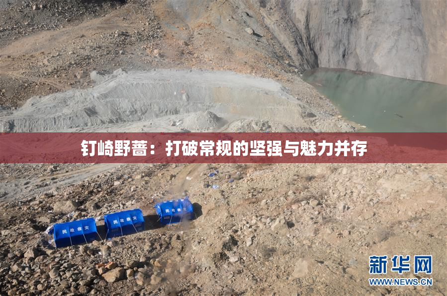 钉崎野蔷：打破常规的坚强与魅力并存