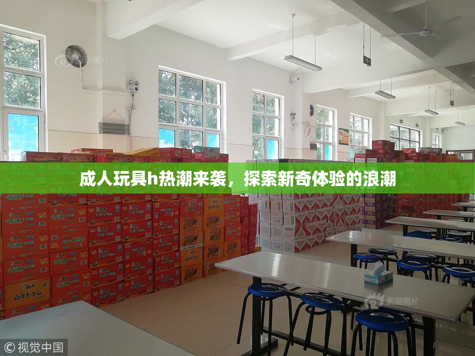 成人玩具h热潮来袭，探索新奇体验的浪潮