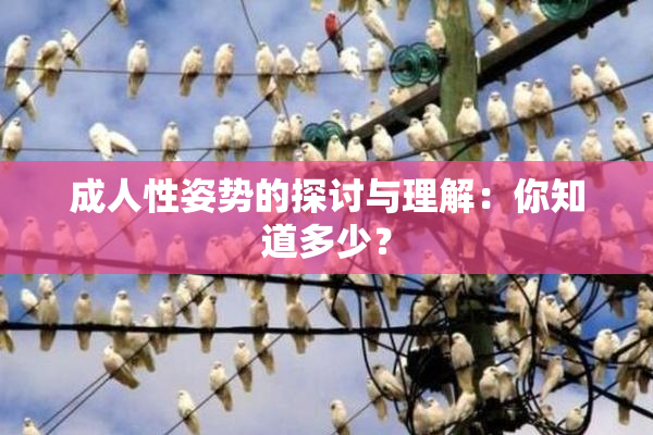 成人性姿势的探讨与理解：你知道多少？