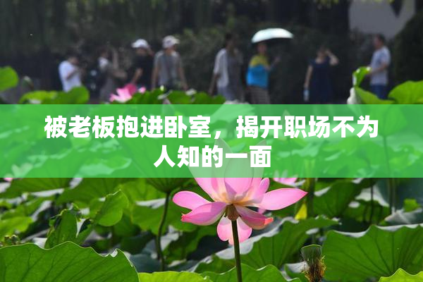 被老板抱进卧室，揭开职场不为人知的一面