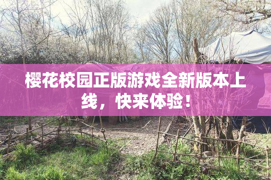 樱花校园正版游戏全新版本上线，快来体验！