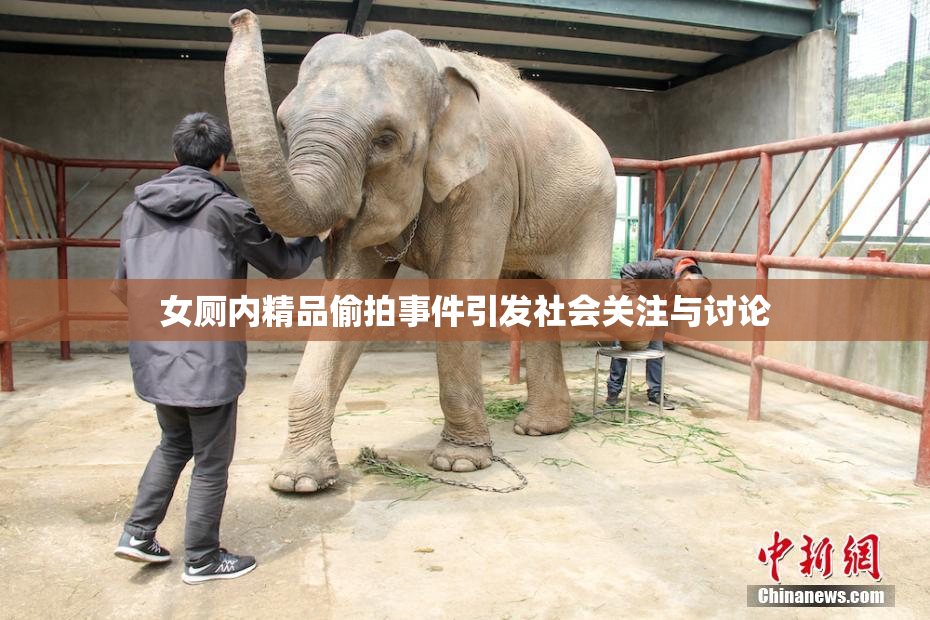 女厕内精品偷拍事件引发社会关注与讨论