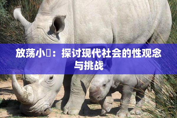 放荡小婬：探讨现代社会的性观念与挑战