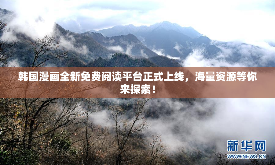 韩国漫画全新免费阅读平台正式上线，海量资源等你来探索！