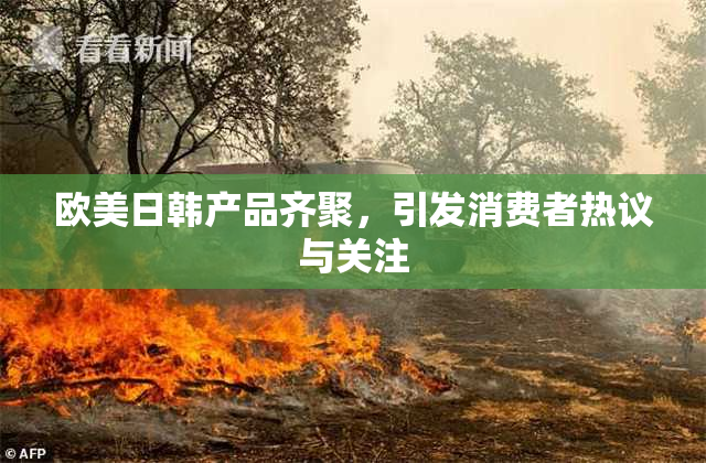 欧美日韩产品齐聚，引发消费者热议与关注