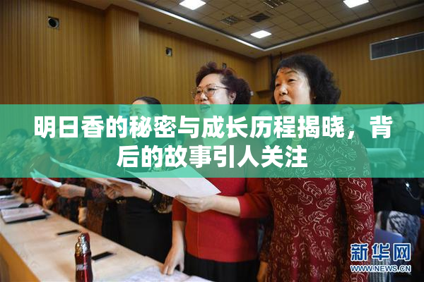 明日香的秘密与成长历程揭晓，背后的故事引人关注