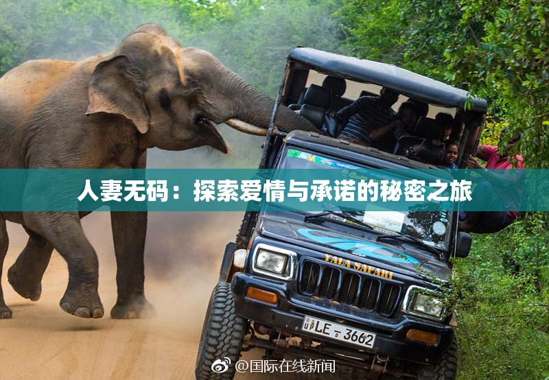 人妻无码：探索爱情与承诺的秘密之旅