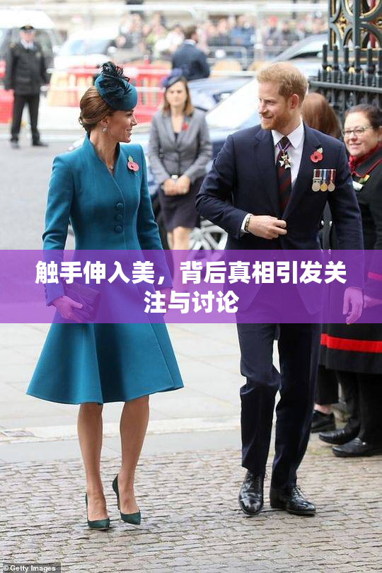 触手伸入美，背后真相引发关注与讨论