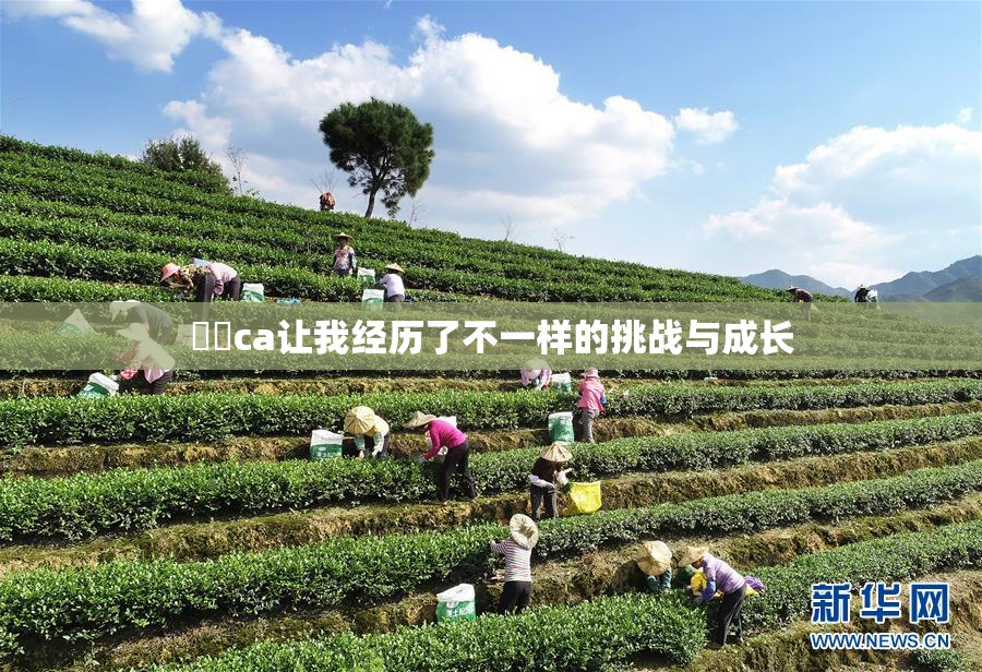 妺妺ca让我经历了不一样的挑战与成长