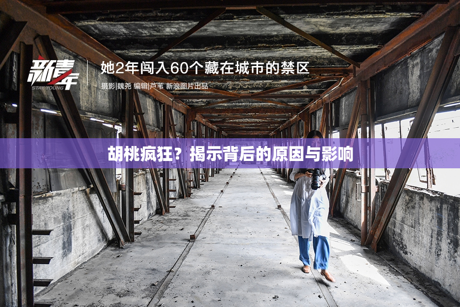 胡桃疯狂？揭示背后的原因与影响
