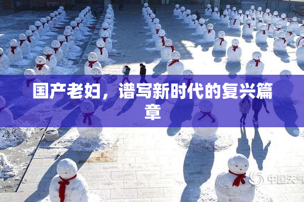 国产老妇，谱写新时代的复兴篇章