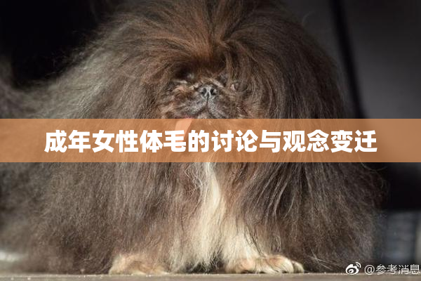 成年女性体毛的讨论与观念变迁