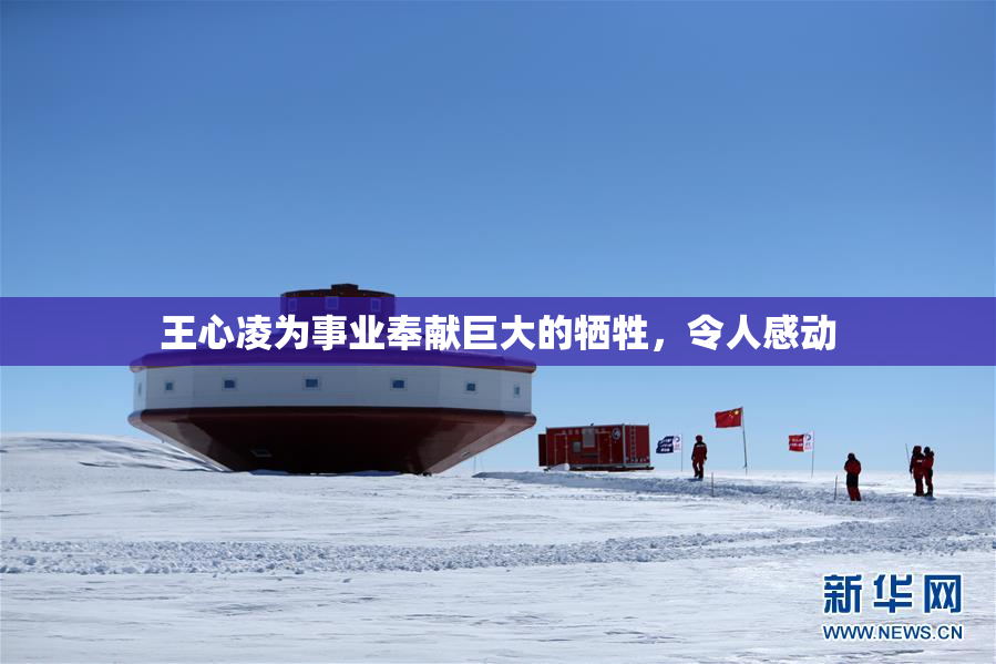 王心凌为事业奉献巨大的牺牲，令人感动