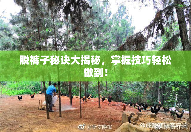 脱裤子秘诀大揭秘，掌握技巧轻松做到！